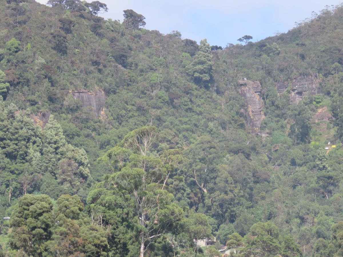 Dream Hill Homestay Nuwara Eliya Esterno foto